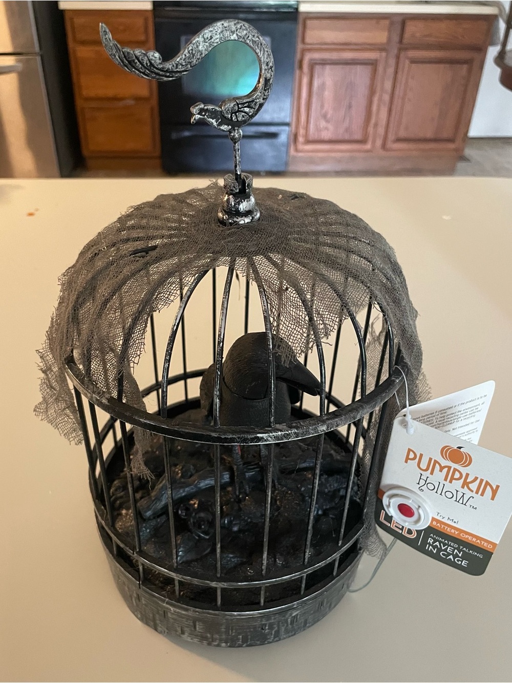 LED Haunted Raven Bird Cage - Black